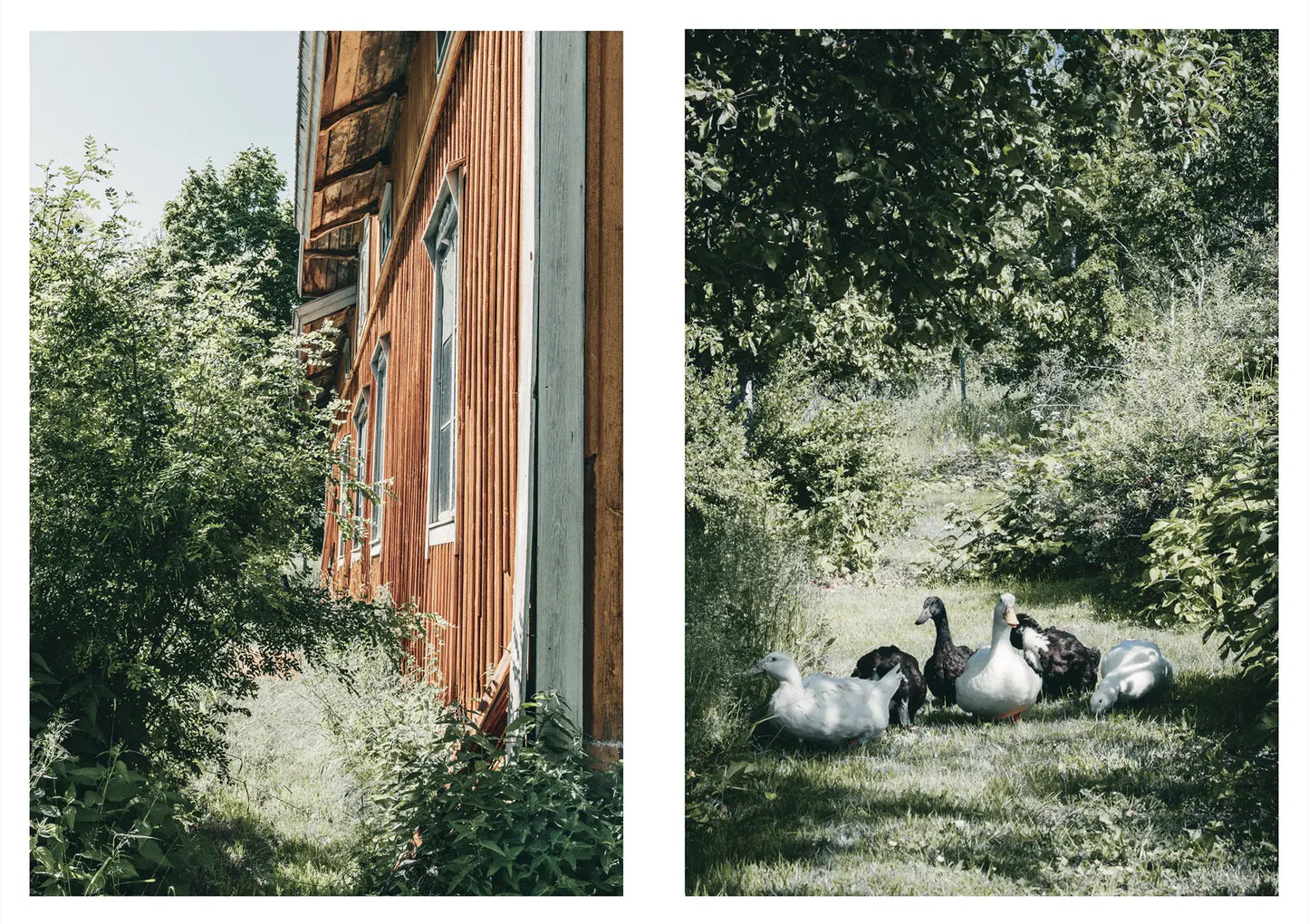 Nordisches Gehöft