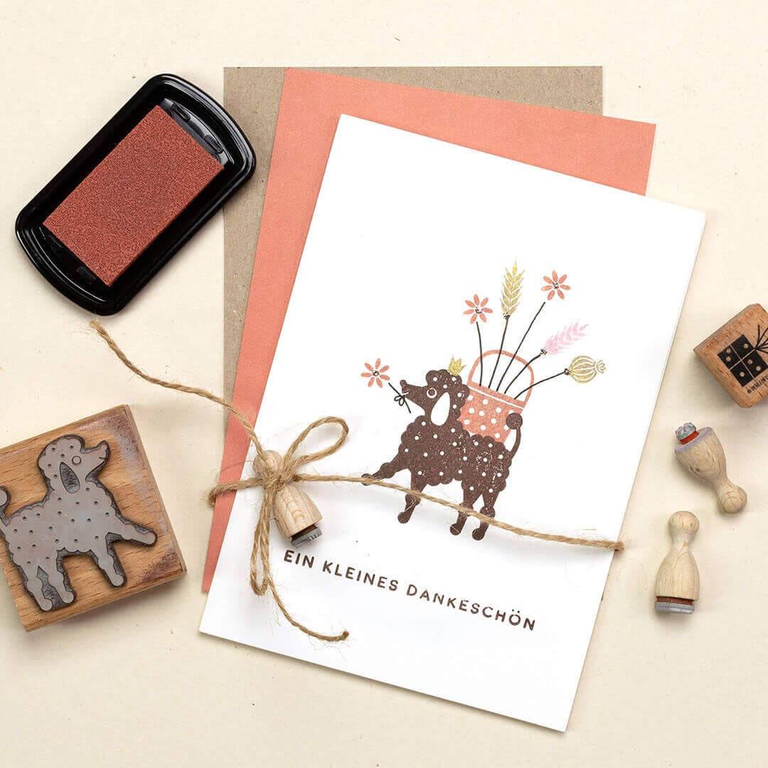 Stempel | Gänseblümchen