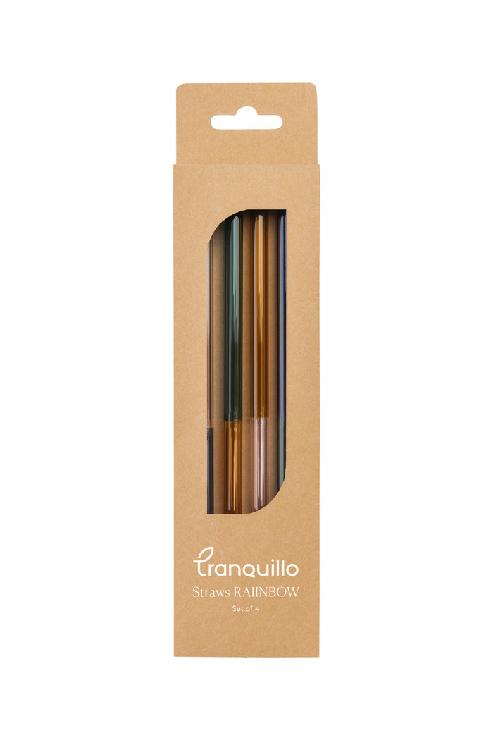 Strohhalme RAIINBOW 4er Set