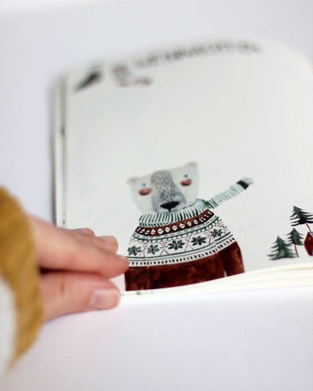 Babybuch Meine ersten Monate