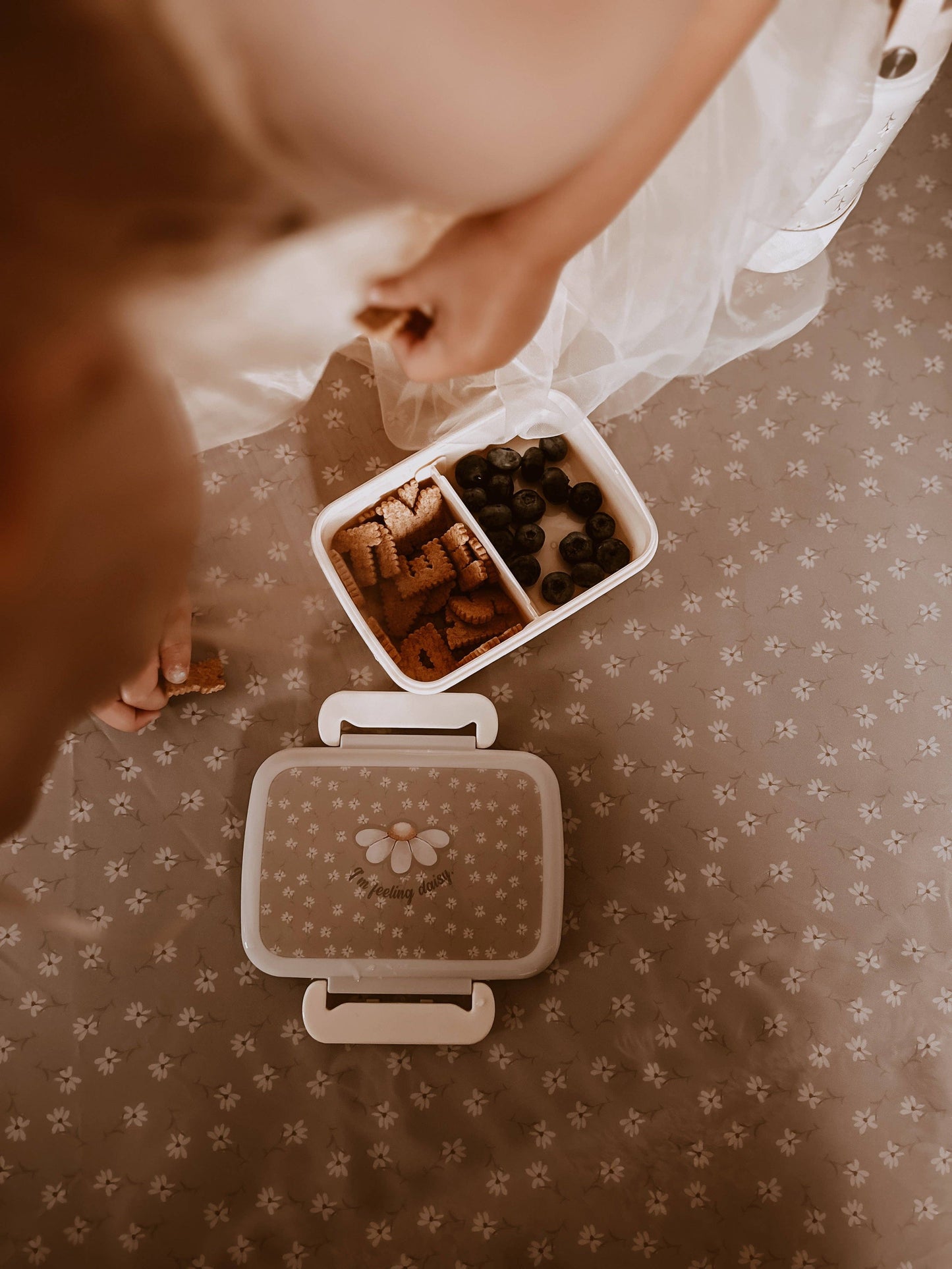 Lunchbox - Kleine Gänseblümchen