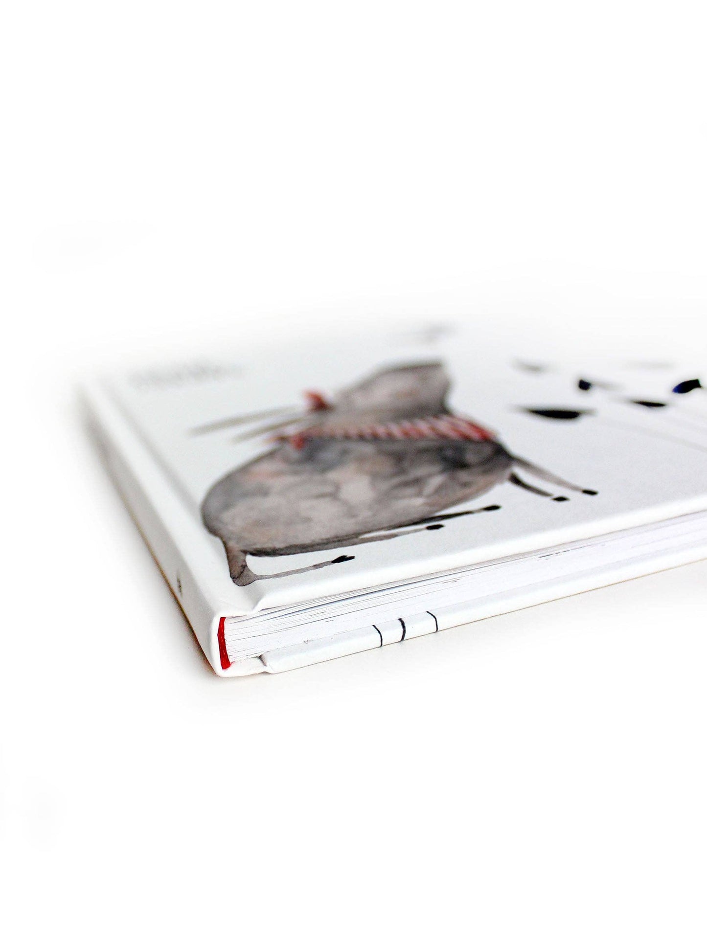 Babybuch Meine ersten Monate