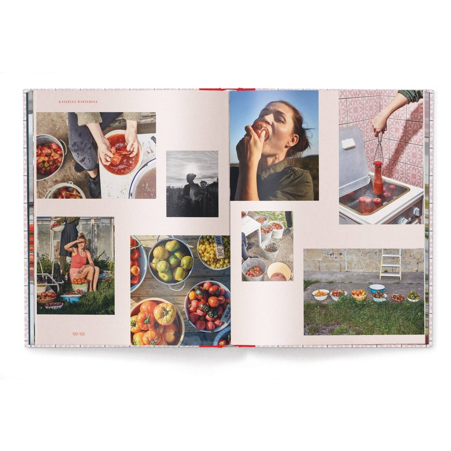 God is a Pickle (Deutsche Ausgabe)