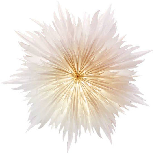 Stella-Magnolia, Pergamentpapier weiß 40 cm