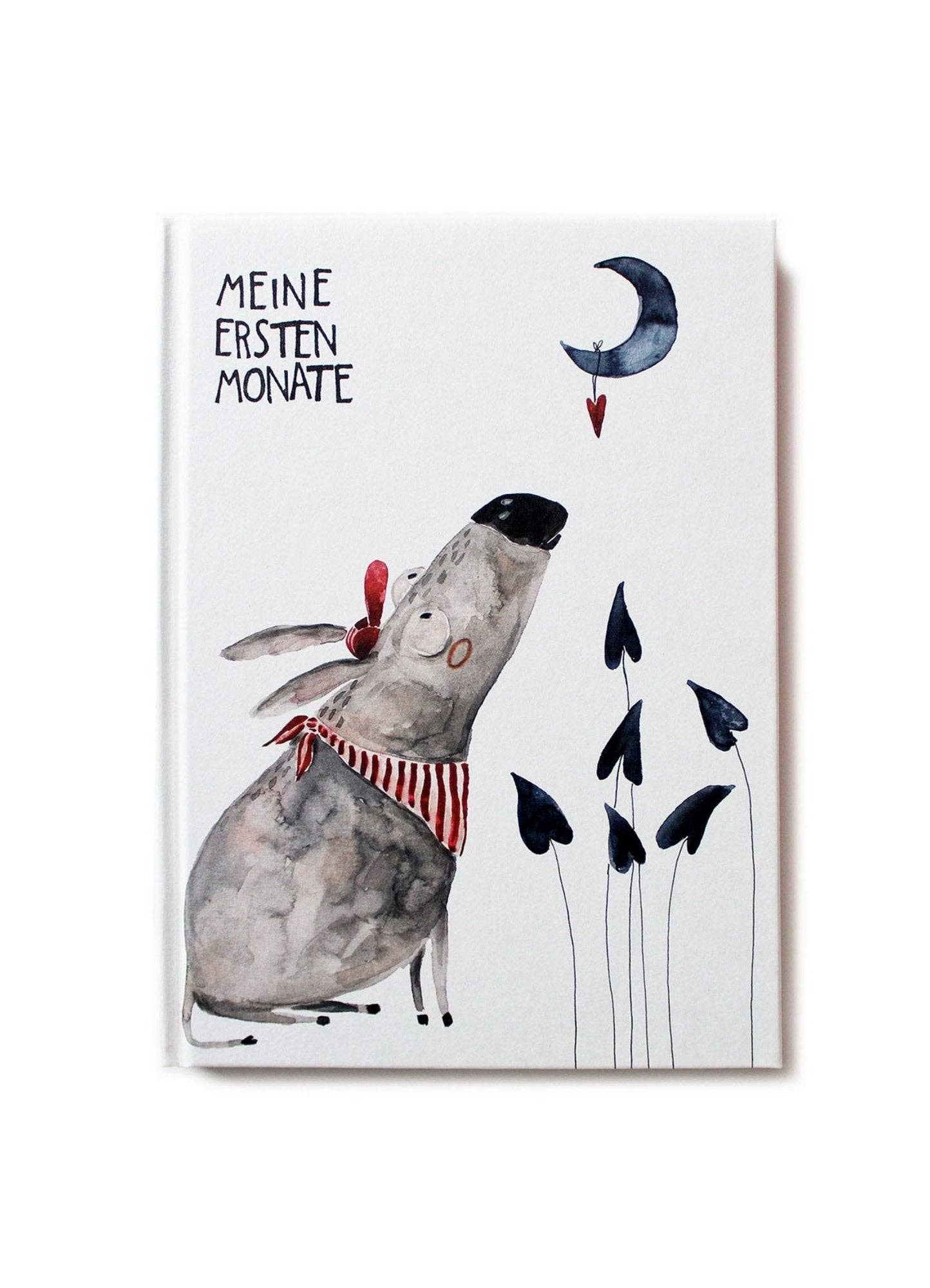 Babybuch Meine ersten Monate