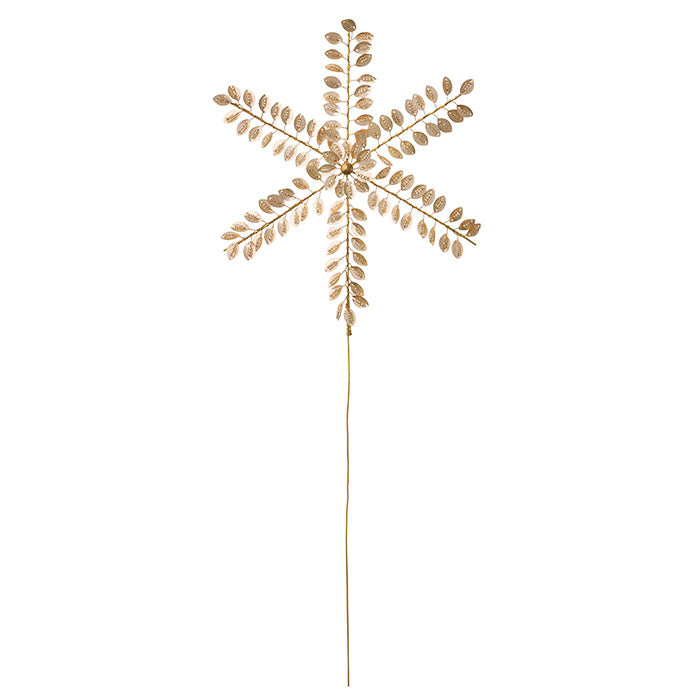 Beaded Top Star Ø21cm Clio Champagne