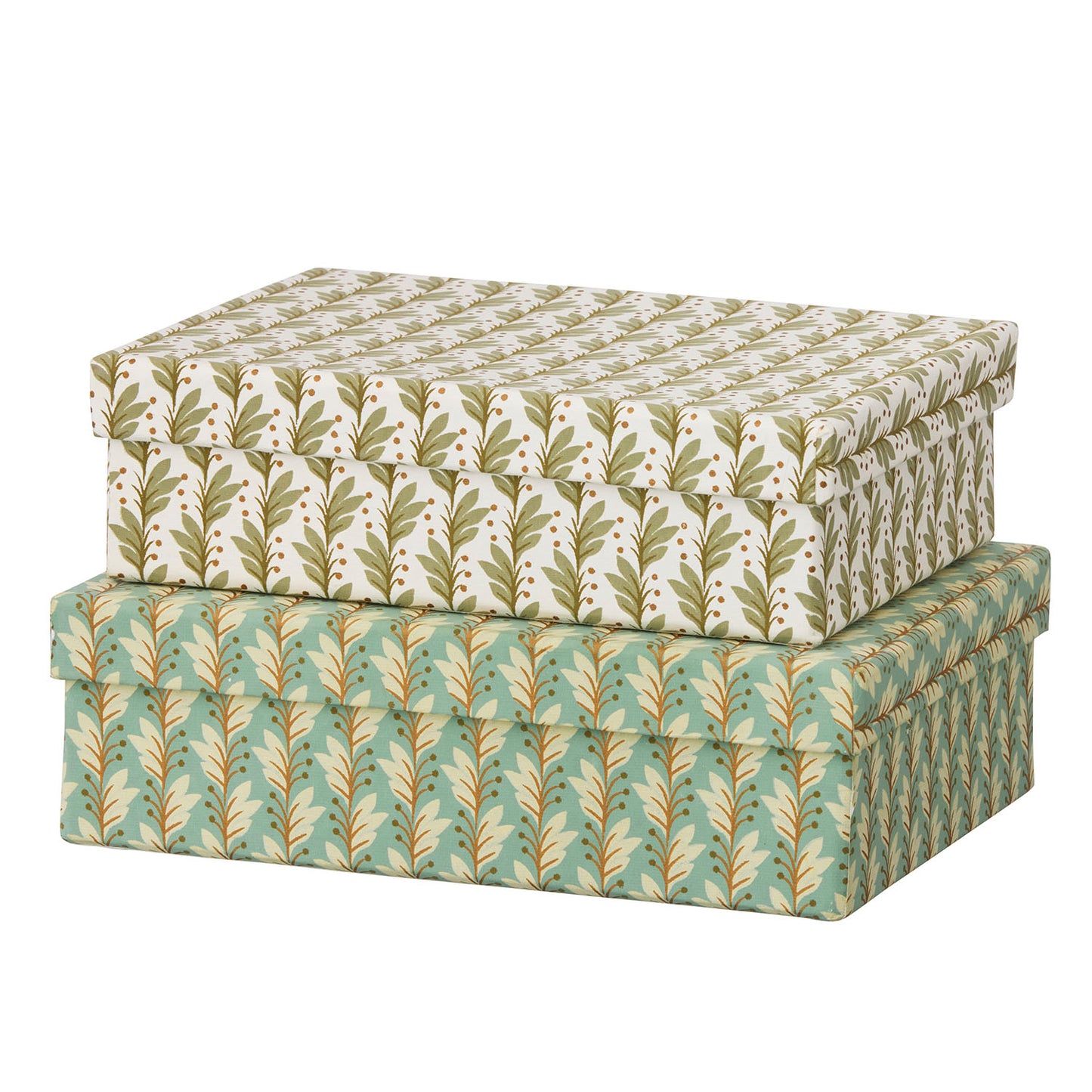 Oblong Duo Box S Naya Ivy