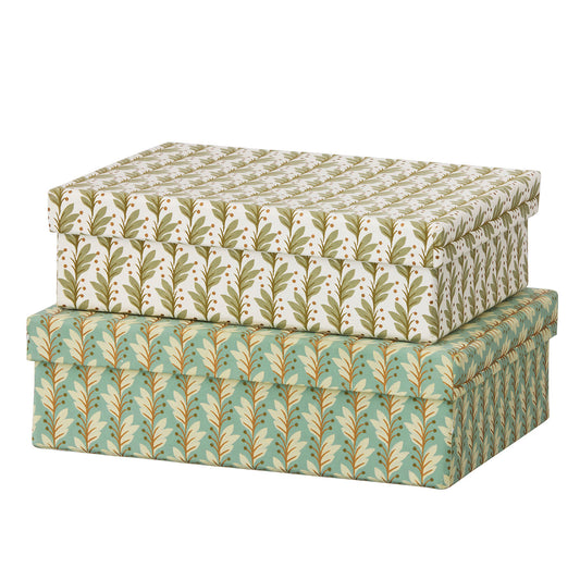 Oblong Duo Box S Naya Ivy