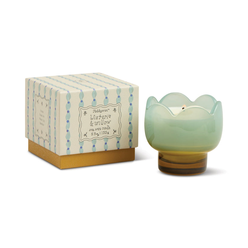 Tulpe 155 g/5,5 oz Blaue und Ocker Glas Kerze - Glyzinie & Weide