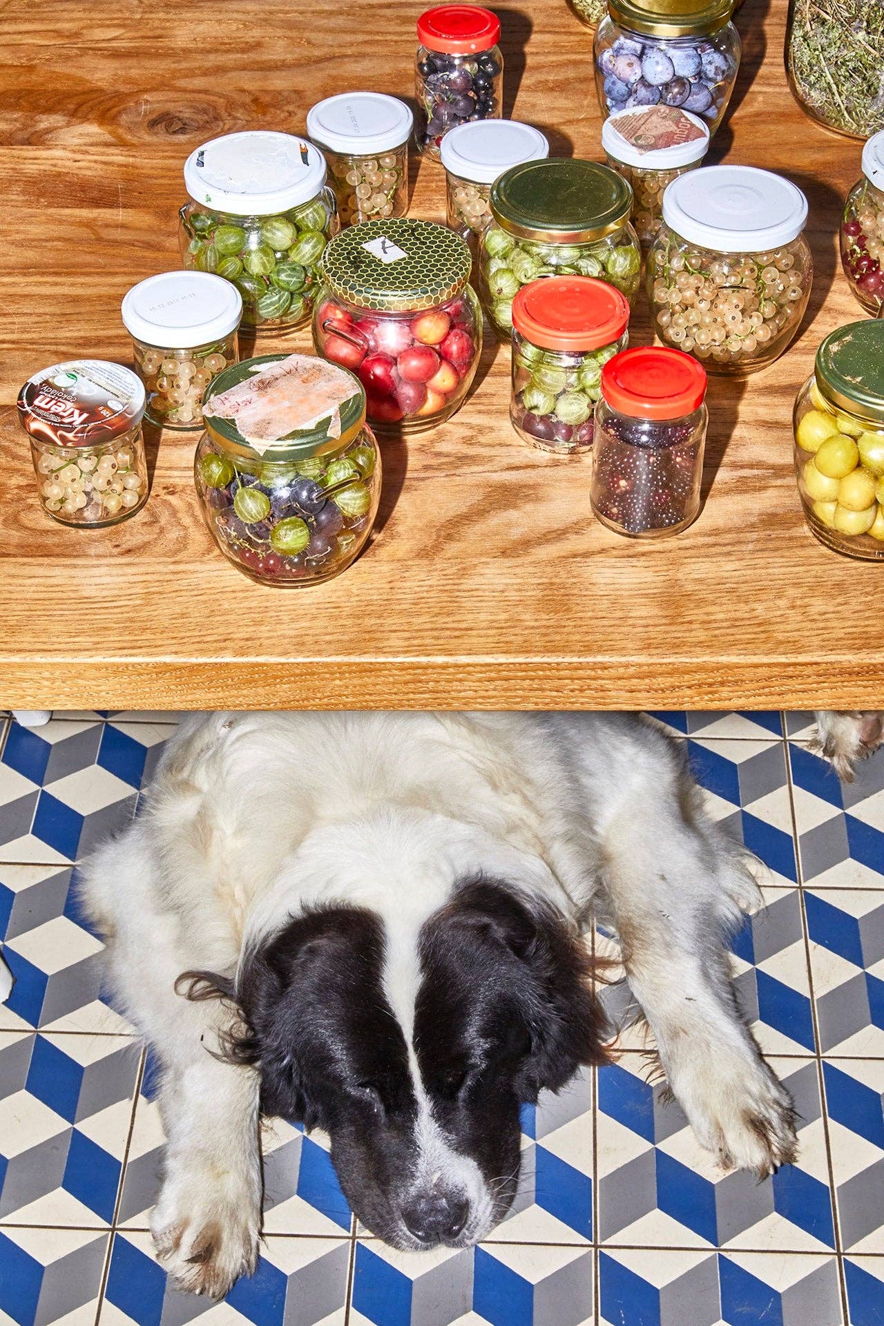 God is a Pickle (Deutsche Ausgabe)