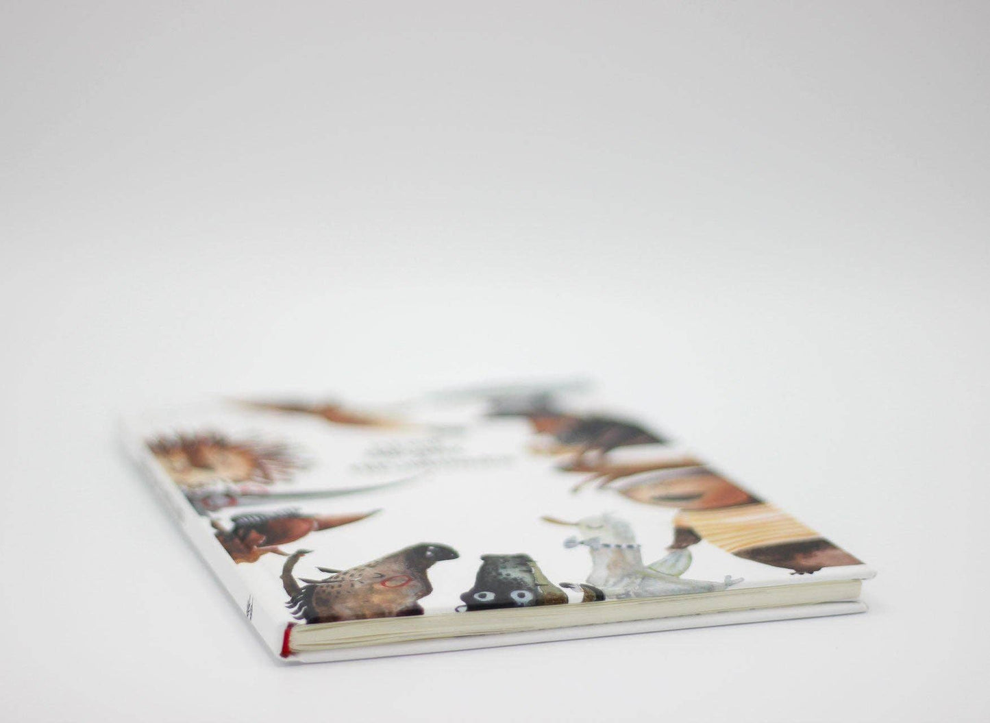 Freundebuch mit tollen Illustrationen