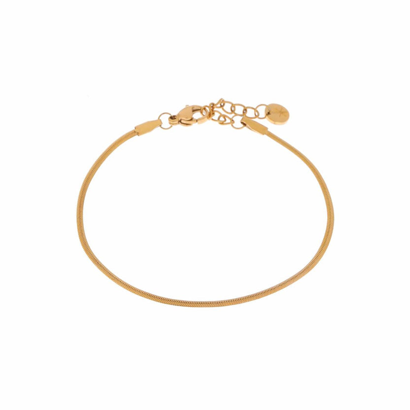 Goldenes Armband im Schlangendesign (fein)