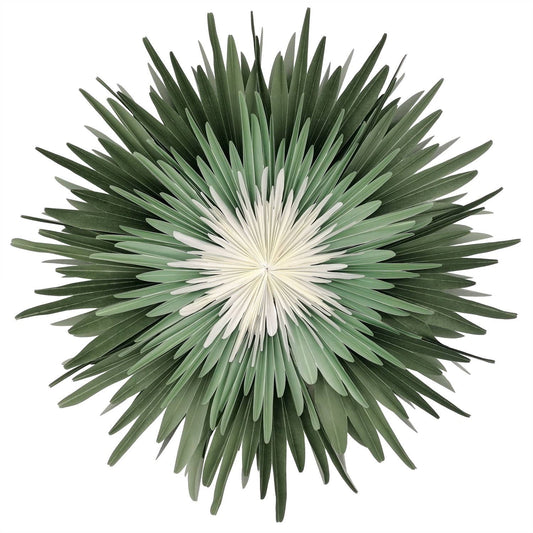 Stella-Dalia, Pergamentpapier grün-mint-weiß 60 cm