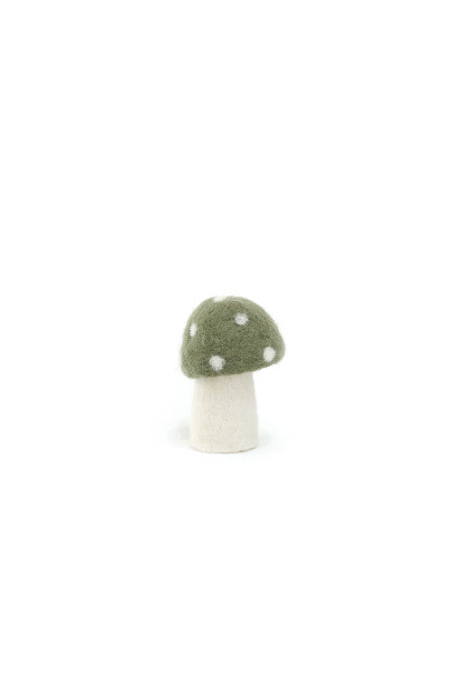 DOTTY Pilze