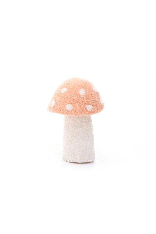 DOTTY Pilze