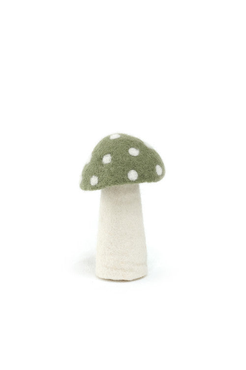 DOTTY Pilze