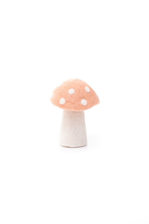 DOTTY Pilze