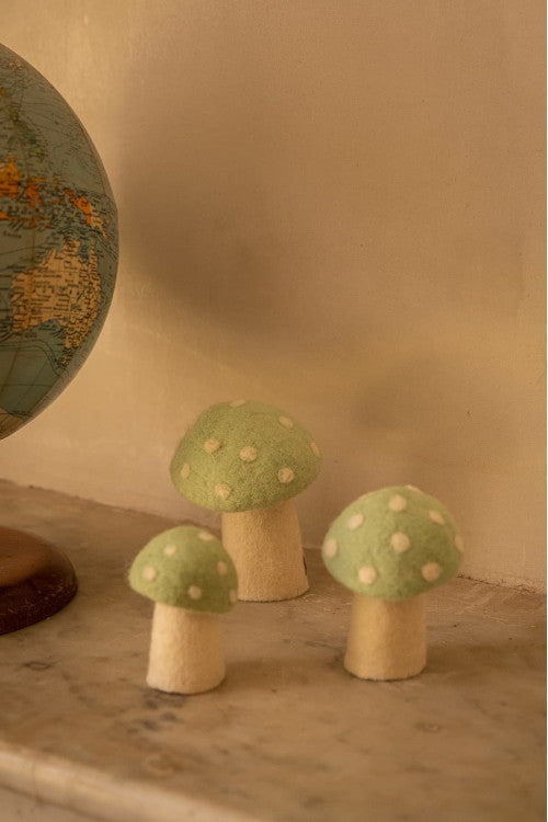 DOTTY Pilze