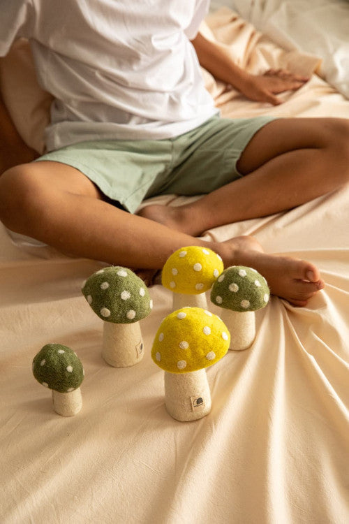 DOTTY Pilze