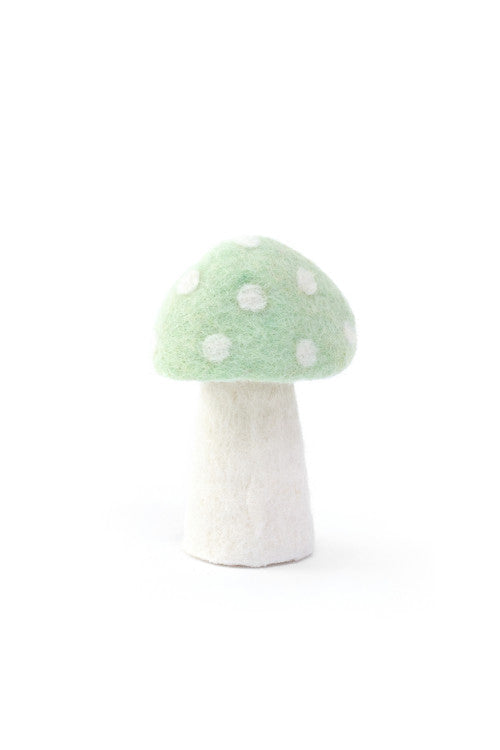 DOTTY Pilze