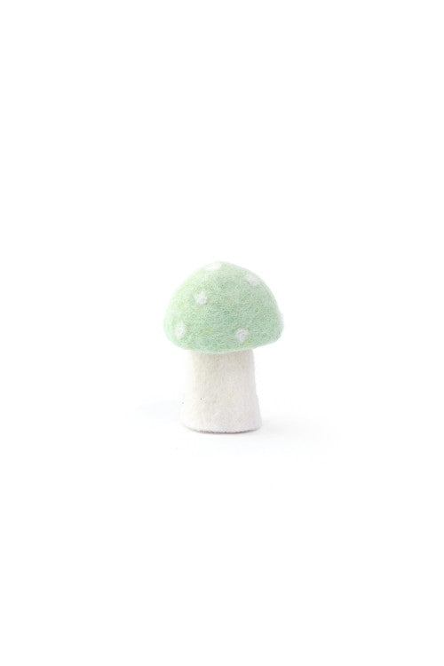 DOTTY Pilze