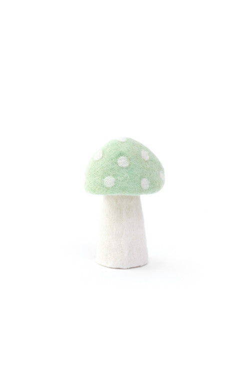 DOTTY Pilze