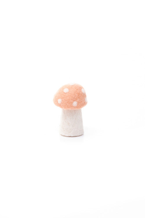 DOTTY Pilze