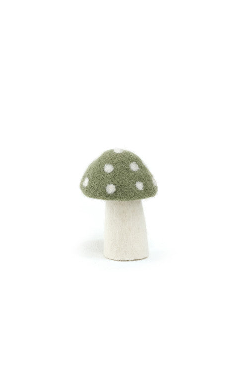 DOTTY Pilze