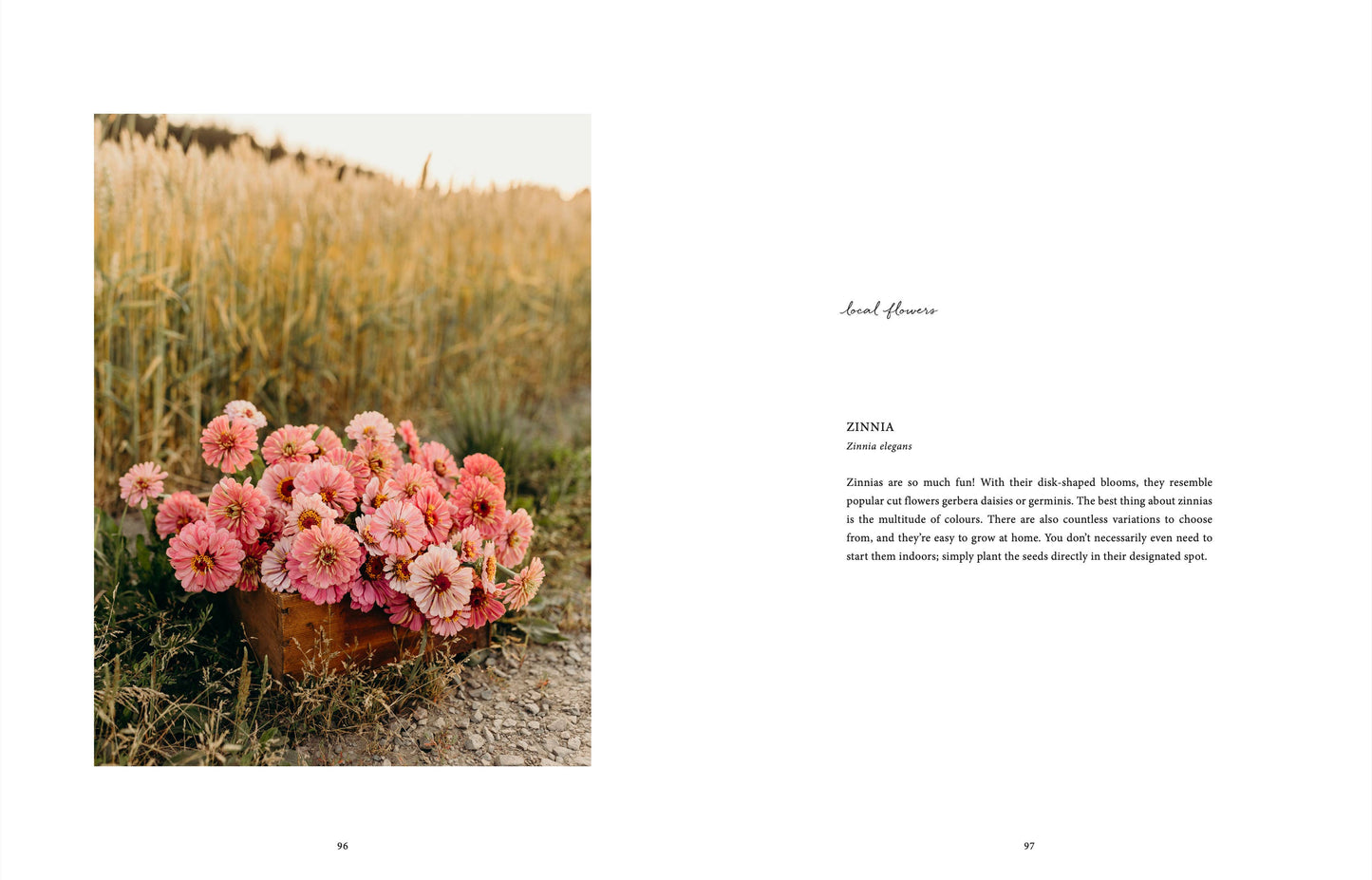 Wo Blumen blühen