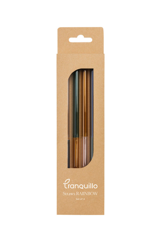 Strohhalme RAIINBOW 4er Set
